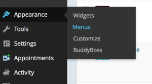 Screen Shot 2015-04-24 at 1.39.13 PM